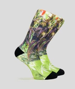 PSD Underwear Good Buds Socks