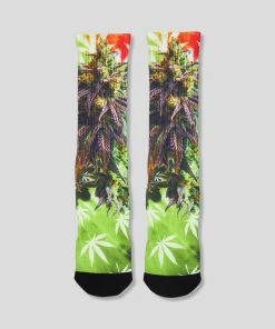 PSD Underwear Good Buds Socks