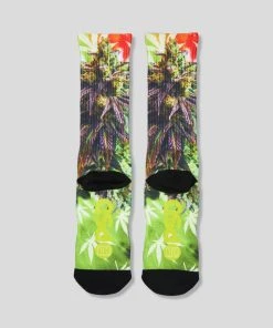 PSD Underwear Good Buds Socks 2 PSD Underwear Good Buds Socks